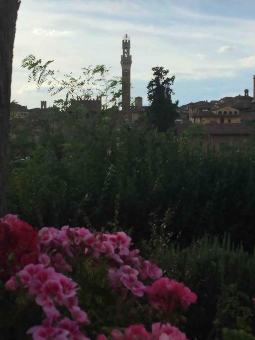 La Dogana Villa Siena Eksteriør billede